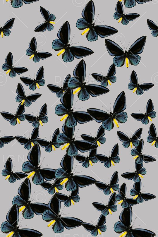 昆虫印花华亿平台图片