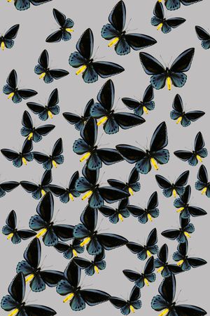 昆虫印花华亿平台图片