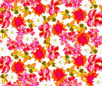 玉兰花印花华亿平台图片