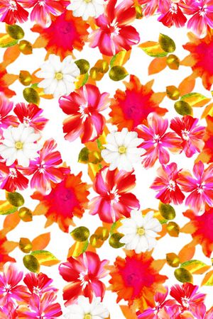 玉兰花印花华亿平台图片