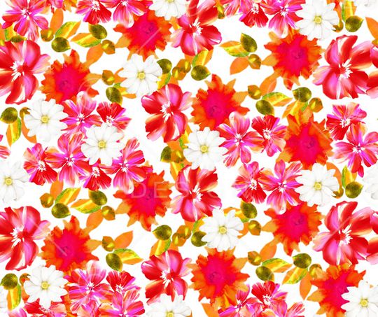 玉兰花印花华亿平台图片