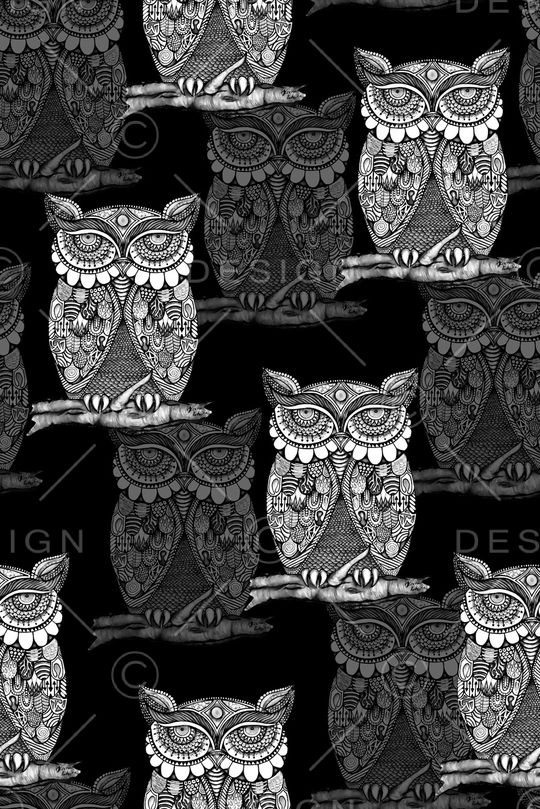 猫头鹰印花华亿平台图片