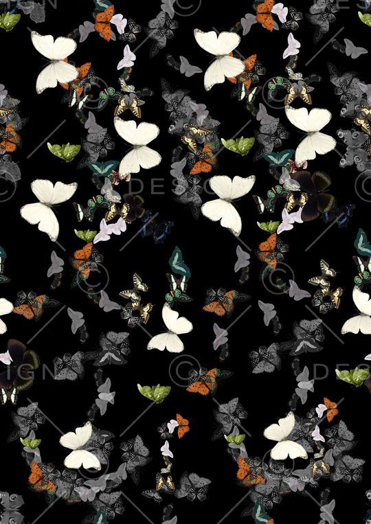 蝴蝶印花华亿平台图片