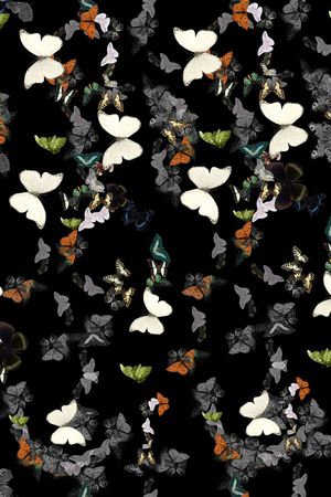 蝴蝶印花华亿平台图片