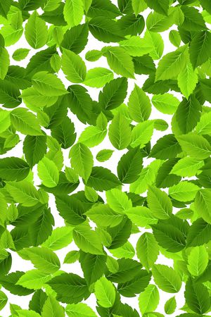 小碎花印花华亿平台图片