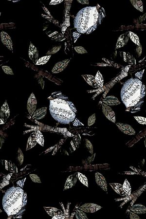 鸟印花华亿平台图片