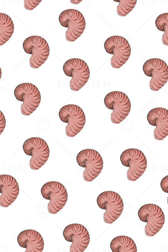 贝壳印花华亿平台图片