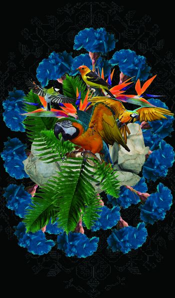 鸟印花华亿平台图片