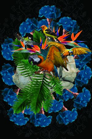 鸟印花华亿平台图片