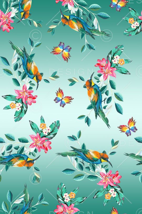 小鸟印花华亿平台图片