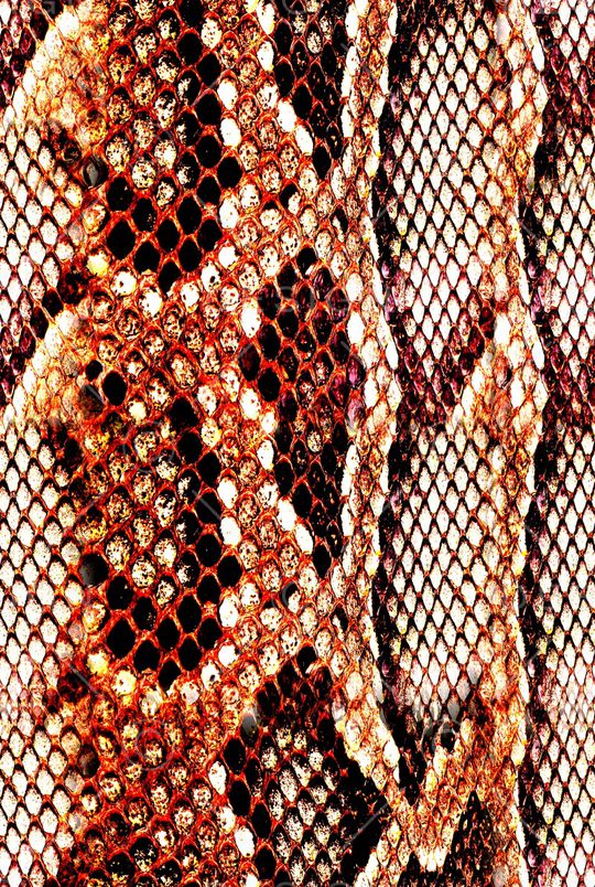 蛇纹印花华亿平台图片