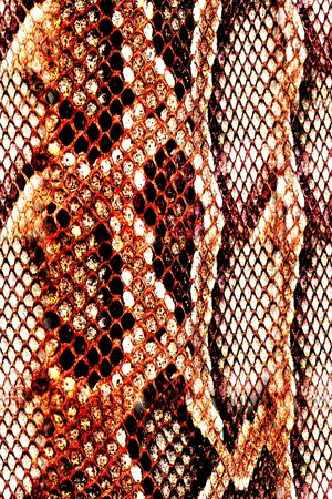 蛇纹印花华亿平台图片