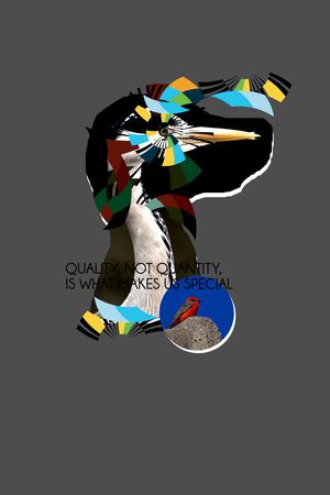 动物印花华亿平台图片