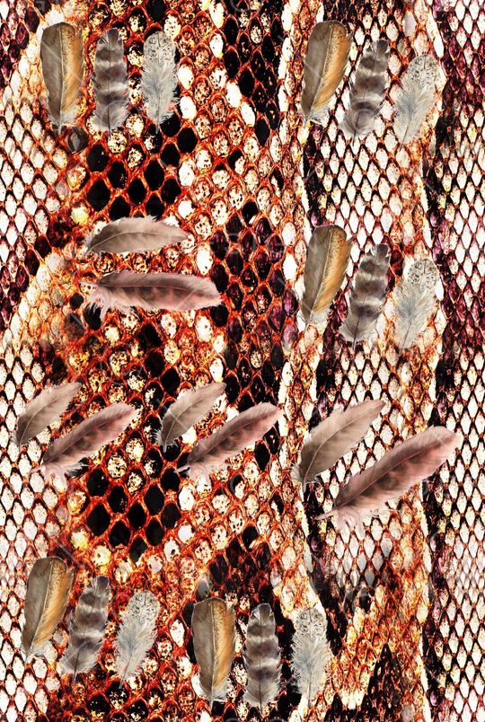 蛇衣印花华亿平台图片