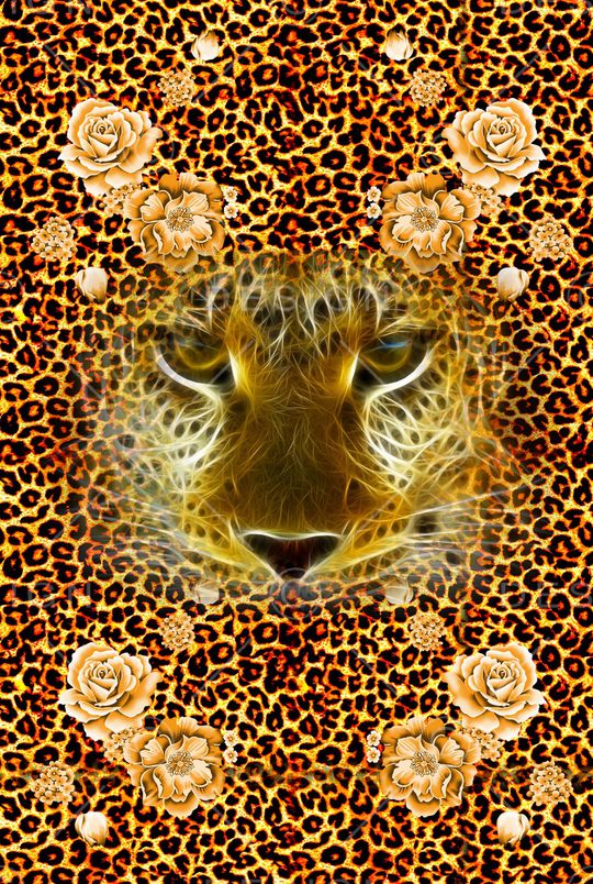 豹纹印花华亿平台图片