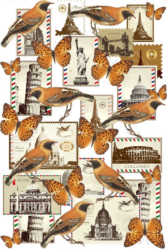 蝴蝶印花华亿平台图片