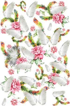 孔雀羽印花华亿平台图片