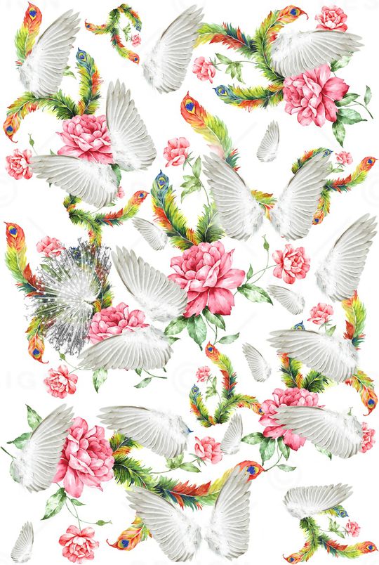 孔雀羽印花华亿平台图片