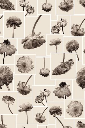 流行时尚印花华亿平台图片