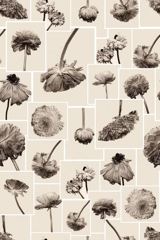 流行时尚印花华亿平台图片