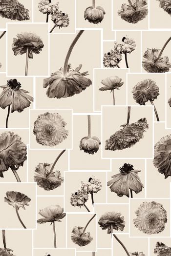 流行时尚印花华亿平台图片