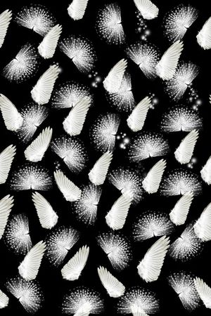 孔雀羽印花华亿平台图片