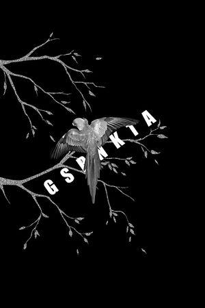 鸟印花华亿平台图片