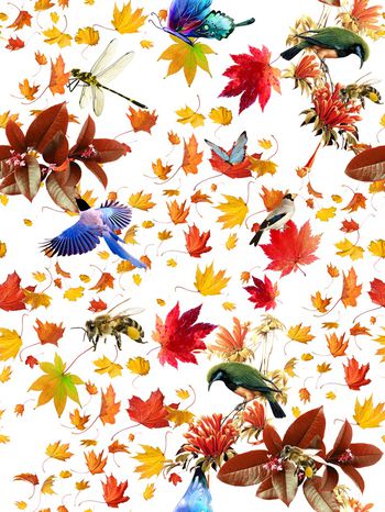 数码印花印花华亿平台图片