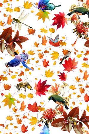 数码印花印花华亿平台图片