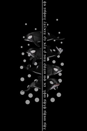 黑白印花华亿平台图片