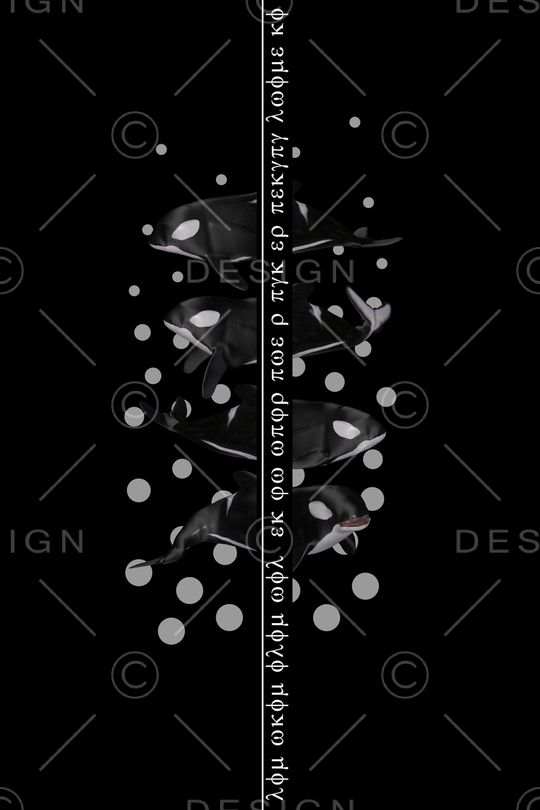 黑白印花华亿平台图片