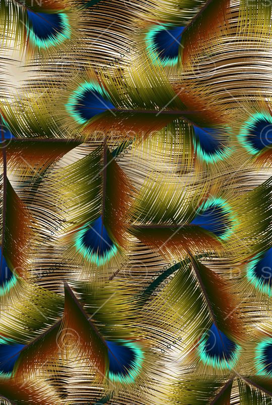 羽毛印花华亿平台图片