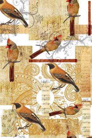 花鸟图印花华亿平台图片