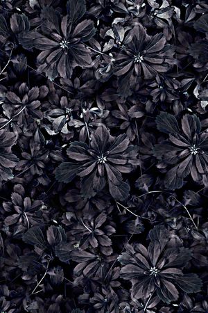 抽象手绘几何花朵花卉纹理数码印花印花华亿平台图片