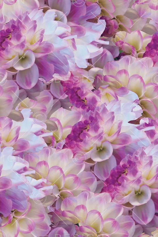 大花印花华亿平台图片