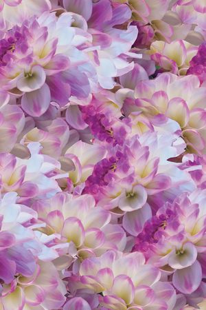 大花印花华亿平台图片