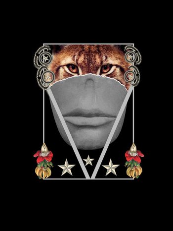 736868-男装潮牌T恤创意虎面