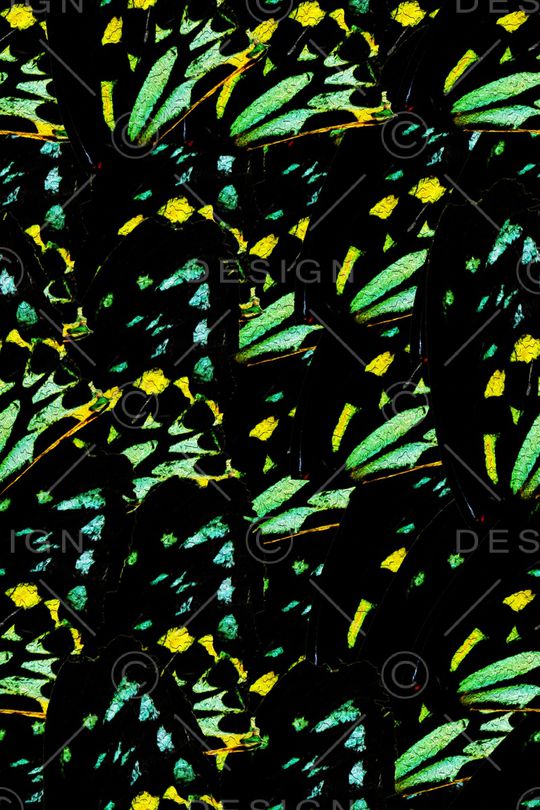 动物纹印花华亿平台图片