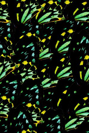 动物纹印花华亿平台图片