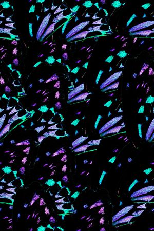 动物纹印花华亿平台图片