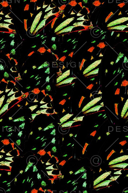 动物纹印花华亿平台图片