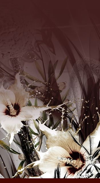 大花印花华亿平台图片