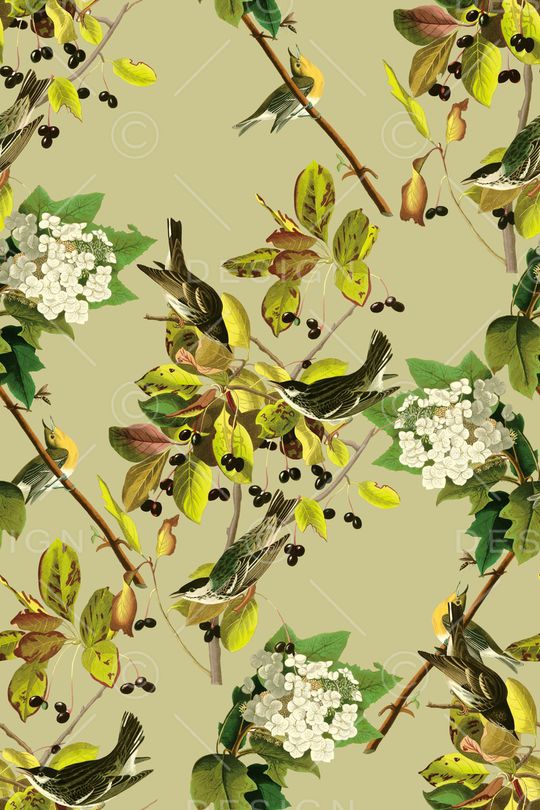 花朵印花华亿平台图片