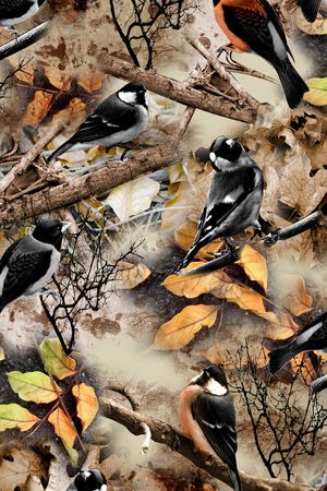 鸟印花华亿平台图片