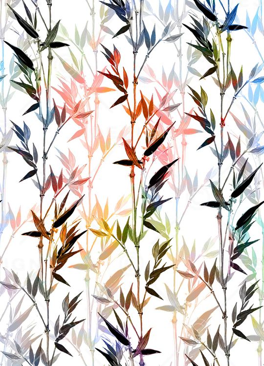 竹子印花华亿平台图片