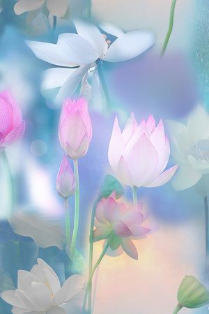 民族风印花华亿平台图片