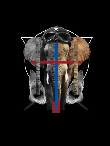 738128-潮牌男装动物大象鲨鱼T恤印花