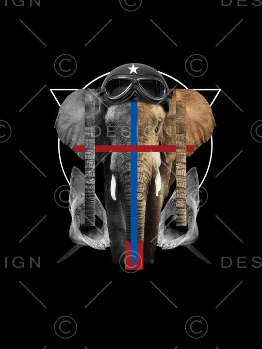 动物大象鲨鱼男装T恤印花华亿平台图片