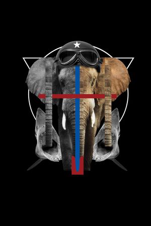 动物大象鲨鱼男装T恤印花华亿平台图片