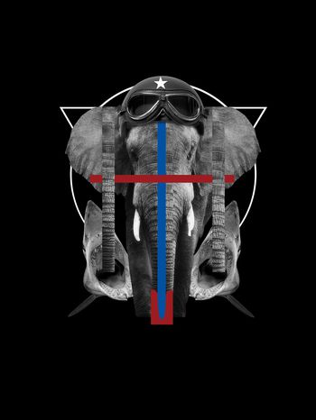 动物大象鲨鱼男装T恤印花华亿平台图片